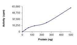 Sino Biological&nbsp;Recombinant Human TrkC Protein (G623R, L686M, His Tag), Active